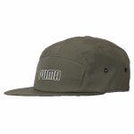 ARCHIVE 5 panels cap ARCHIVE 5 panels cap