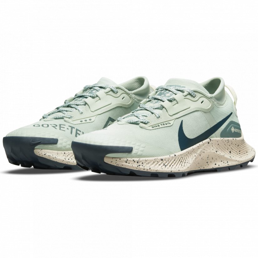 nike pegasus gore tex 3