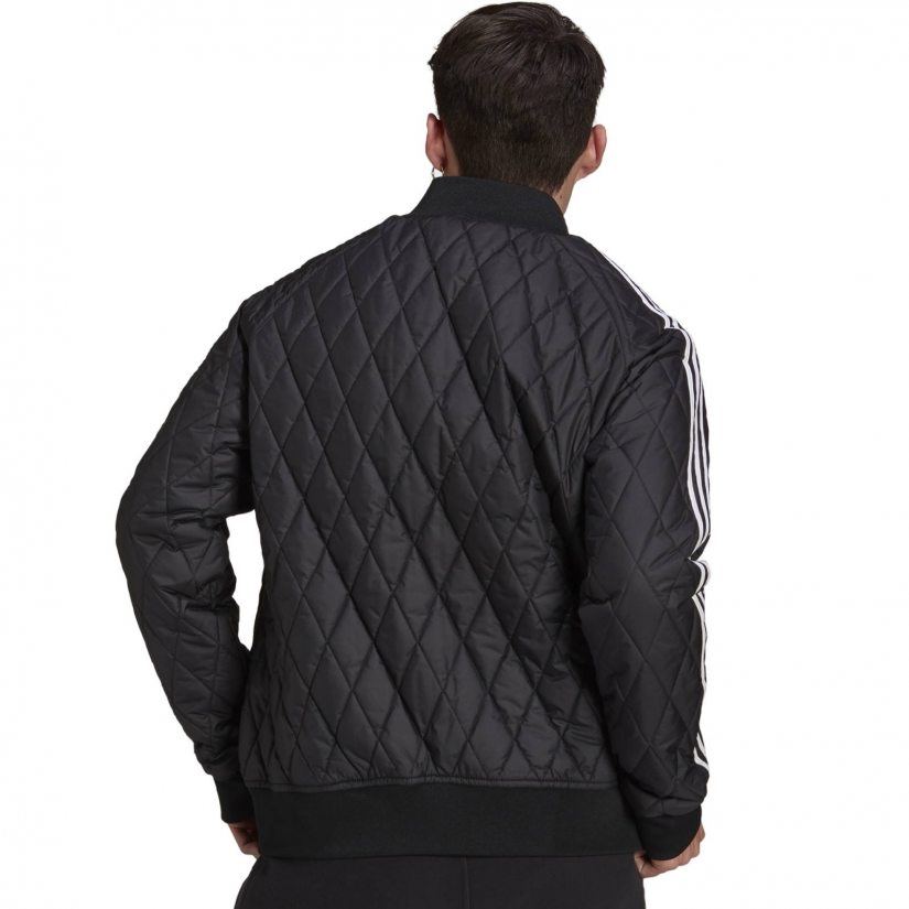 Adidas 2025 bomber tt