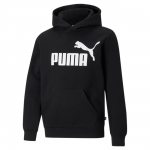 ESS Big Logo Hoodie FL B ESS Big Logo Hoodie FL B
