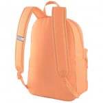 Phase Backpack Phase Backpack