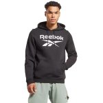 RI BIG STACKED LOGO HOODY