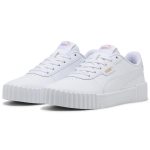 Carina 3.0 Carina 3.0