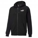 ESS Small Logo FZ Hoodie TR