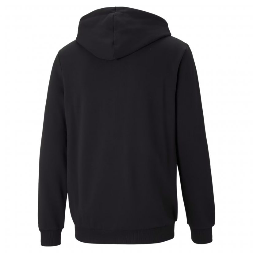 ESS Small Logo FZ Hoodie TR