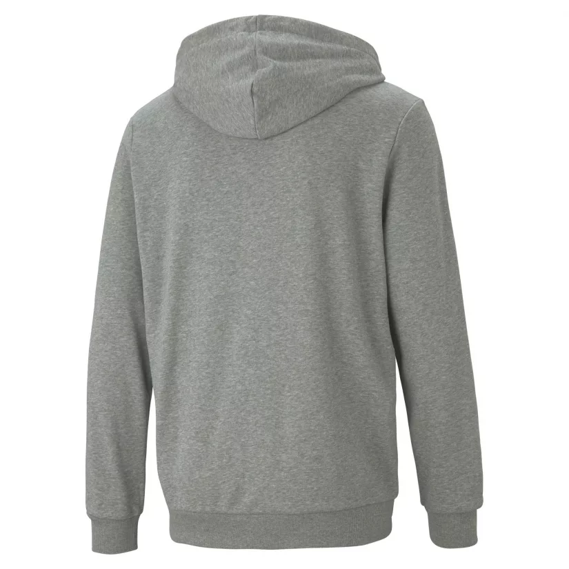 ESS Small Logo FZ Hoodie TR