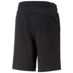 ESS plus 2 Col Shorts