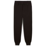 BMW MMS ESS+ PANTS FLEECE