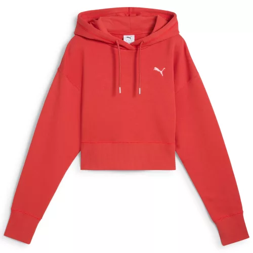 PUMA PREMIUM ESS Graphic Hoodie