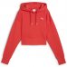 PREMIUM ESS Graphic Hoodie