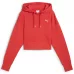 PREMIUM ESS Graphic Hoodie