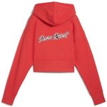 PREMIUM ESS Graphic Hoodie PREMIUM ESS Graphic Hoodie