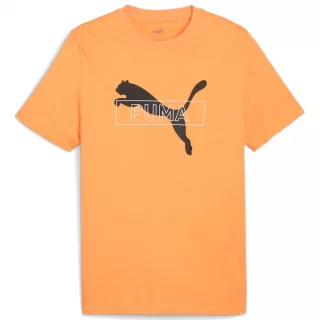 PUMA DESERT ROAD Graphic Tee