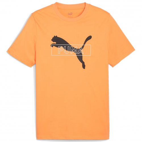 PUMA DESERT ROAD Graphic Tee