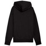 ESS ELEVATED Hoodie FL