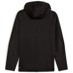 EVOSTRIPE FZ Hoodie DK