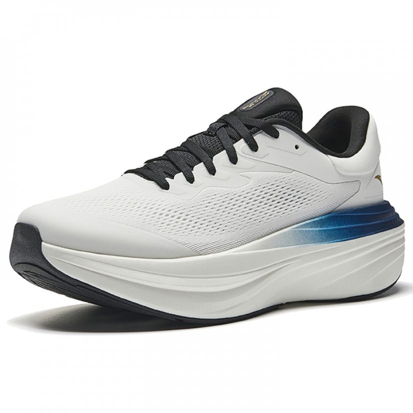 WALK 2.0 STABLE (2E)