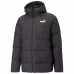 Down  Puffer