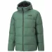 Down  Puffer