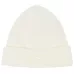 Adult hat