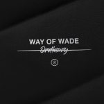 WADE SHORT DOWN COAT