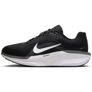 Nike AIR WINFLO 11
