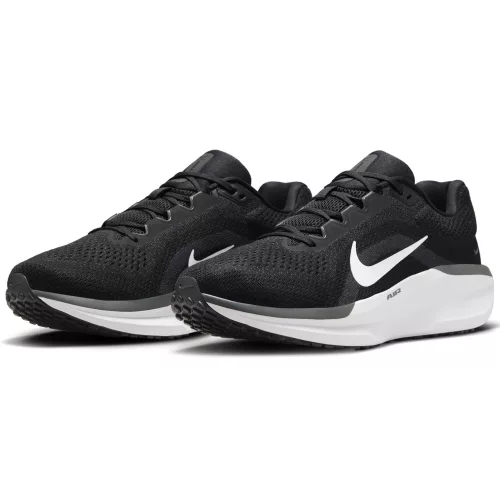 Nike AIR WINFLO 11