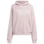 CL AE BIG LOGO FT HOODIE CL AE BIG LOGO FT HOODIE