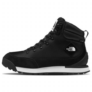 THE NORTH FACE M BACK-TO-BERKELEY IV TEXTILE WP