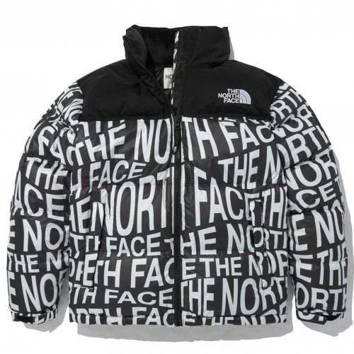 THE NORTH FACE NOVELTY NUPTSE DOWN