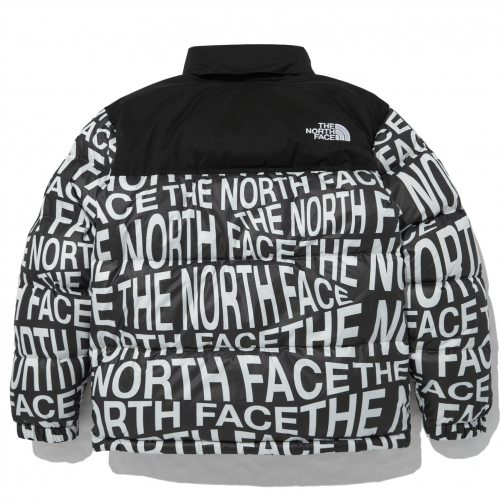 THE NORTH FACE NOVELTY NUPTSE DOWN