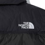 NOVELTY NUPTSE DOWN