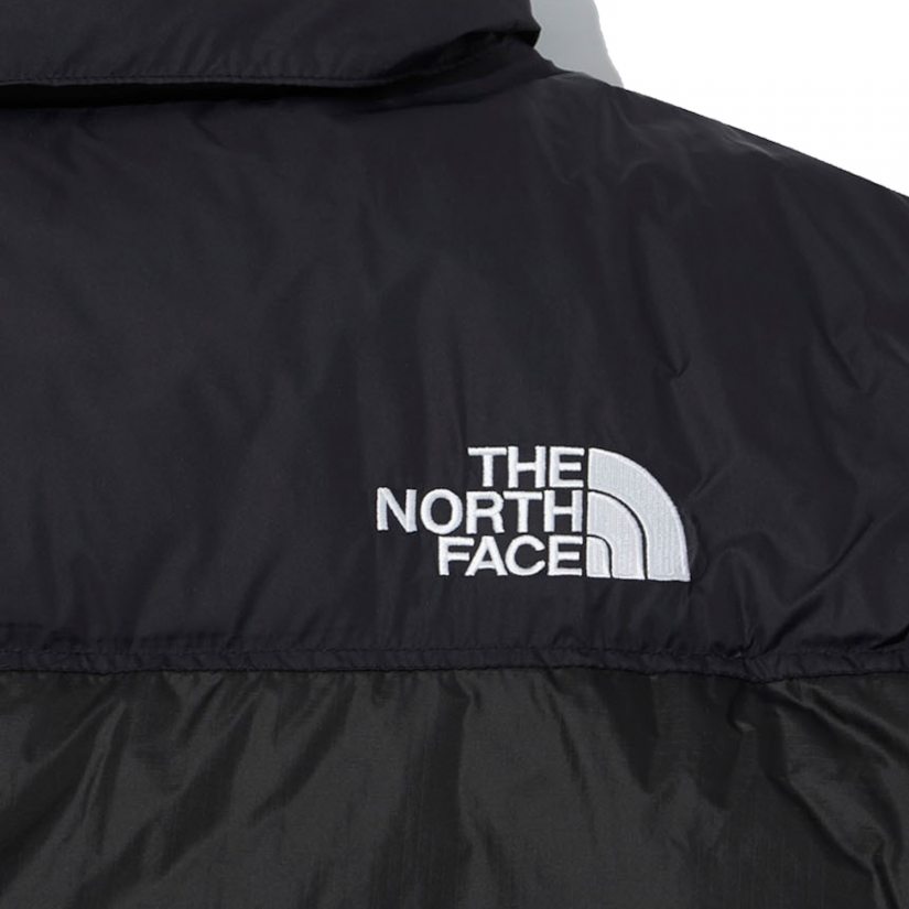 The north face novelty store nuptse down vest